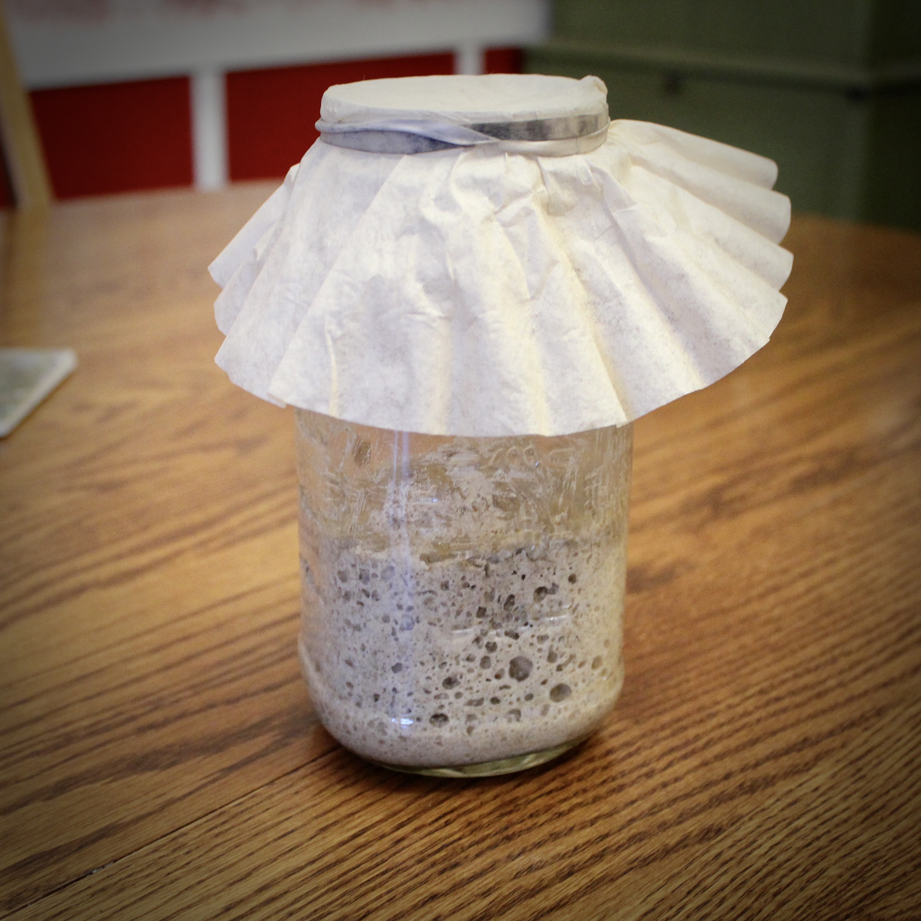 Rye Sourdough Starter