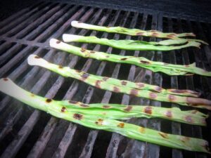 Grilling Green Onions